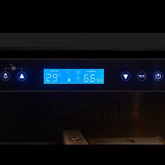 단일 온도 구역 와인 쿨러/와인 저장고/와인 냉장고