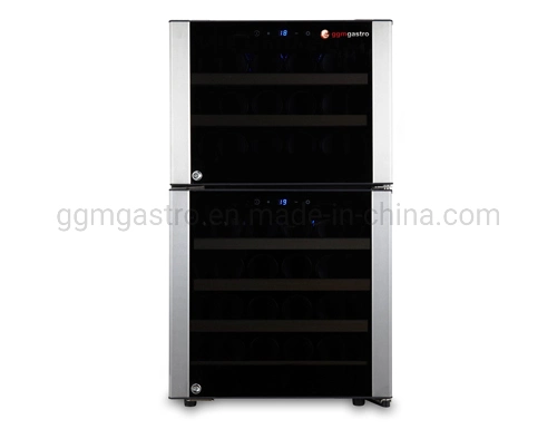 Dual-Zone Wine Fridge Dual-Temperature Wine Cooler with CE Approval